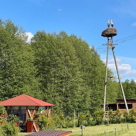 Villa Agro na Wapniarni Biala  Esterno foto