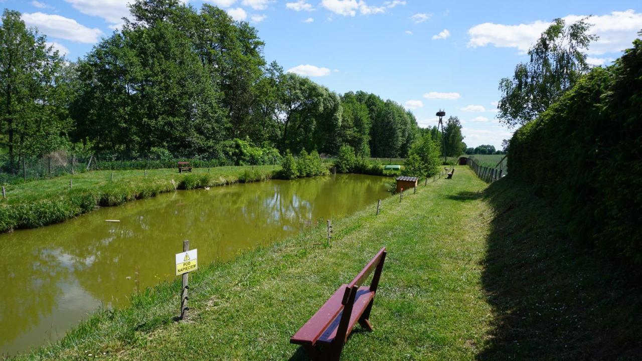 Villa Agro na Wapniarni Biala  Esterno foto