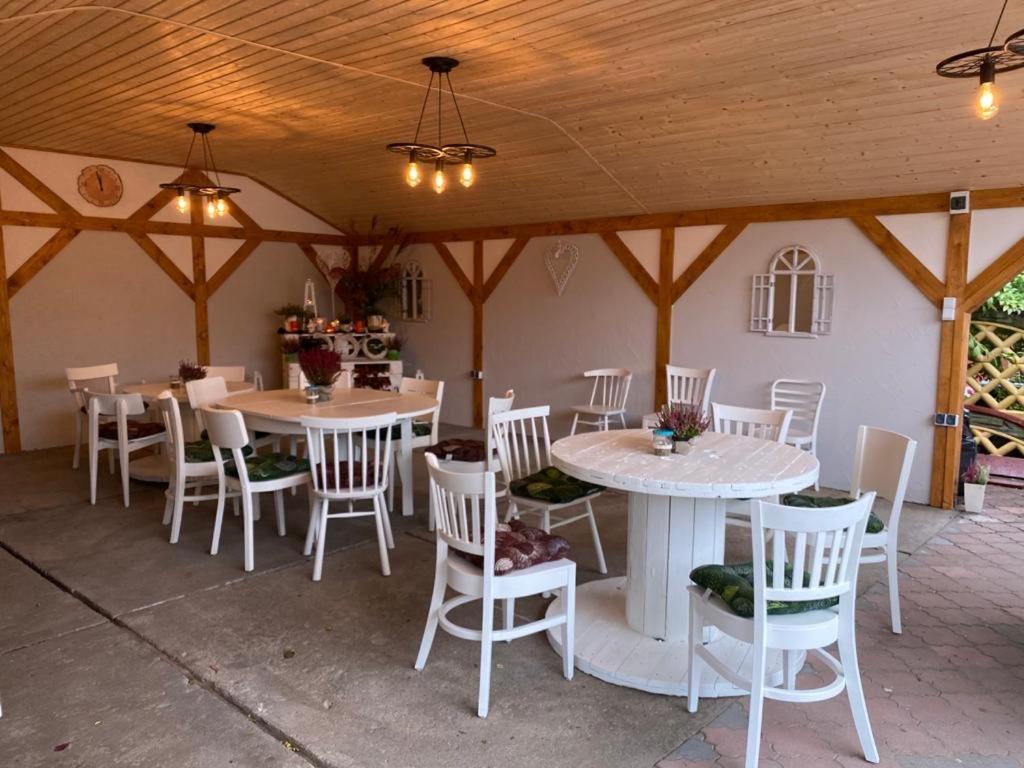 Villa Agro na Wapniarni Biala  Esterno foto