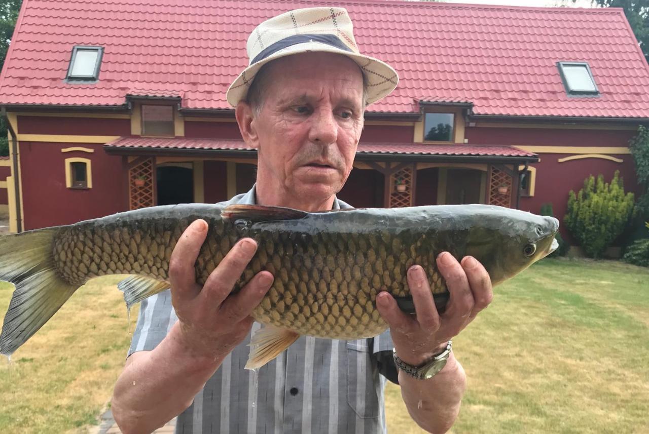 Villa Agro na Wapniarni Biala  Esterno foto