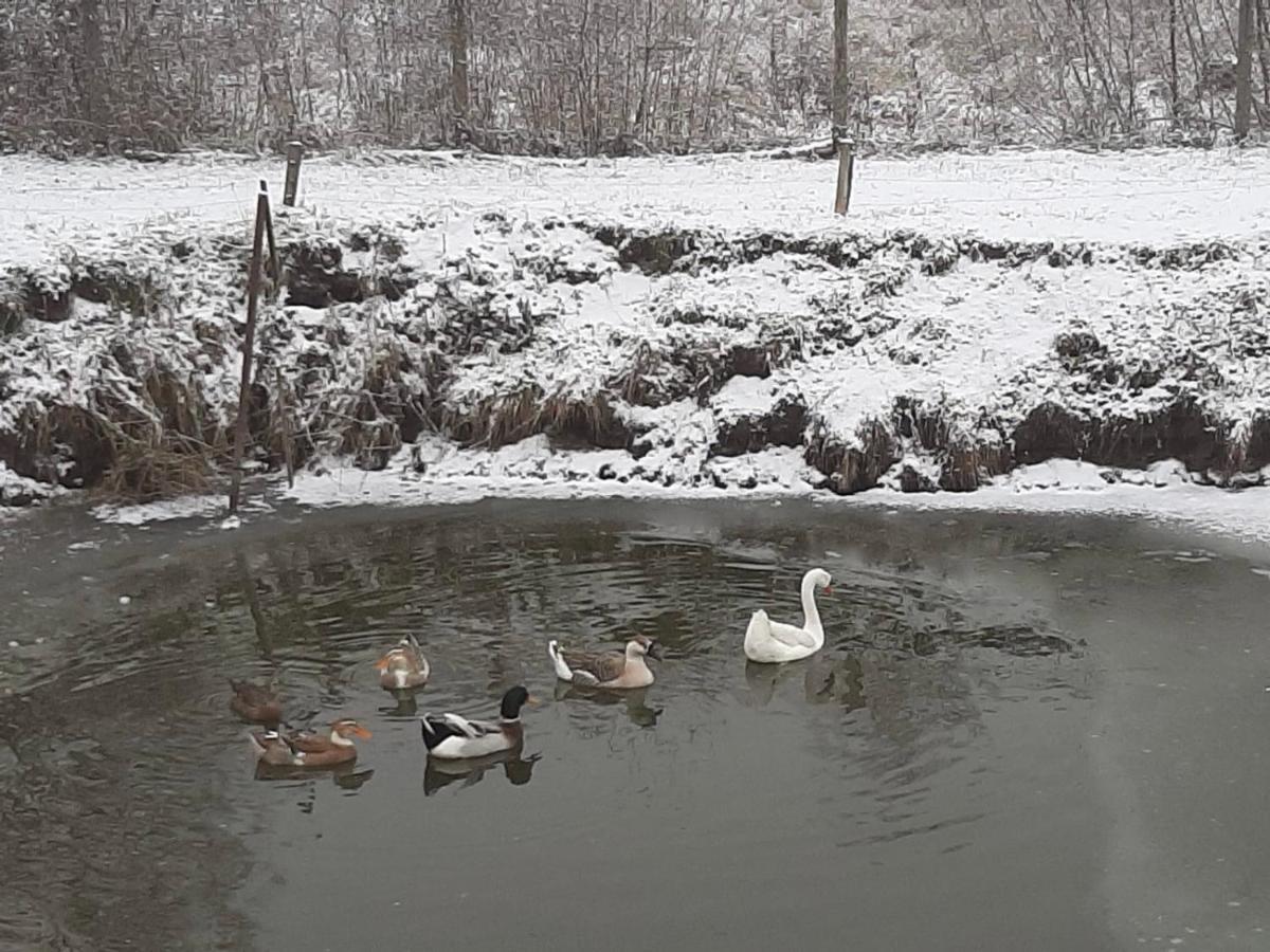 Villa Agro na Wapniarni Biala  Esterno foto