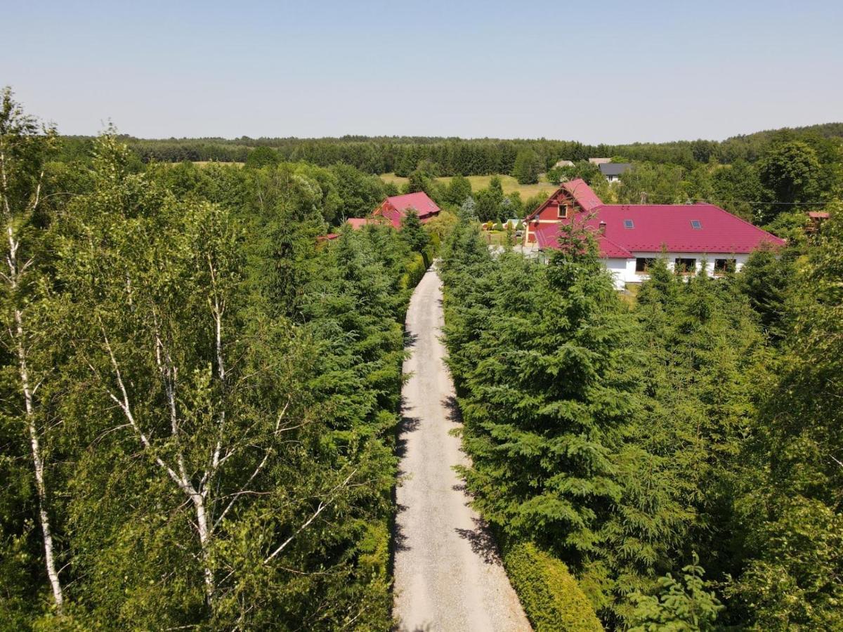 Villa Agro na Wapniarni Biala  Esterno foto