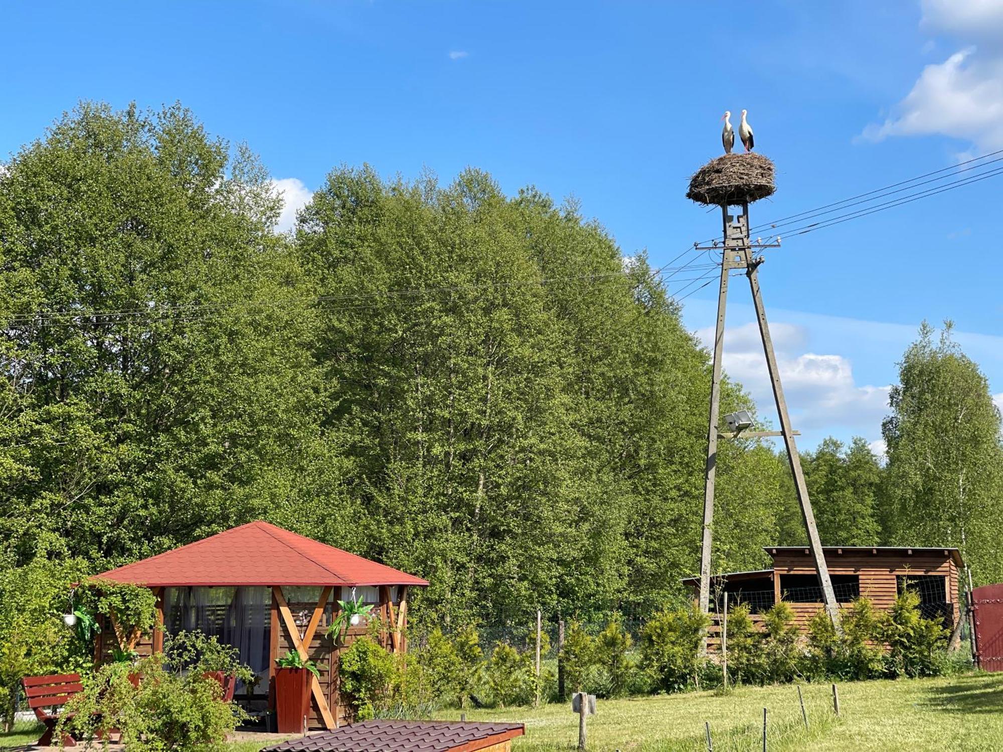 Villa Agro na Wapniarni Biala  Esterno foto